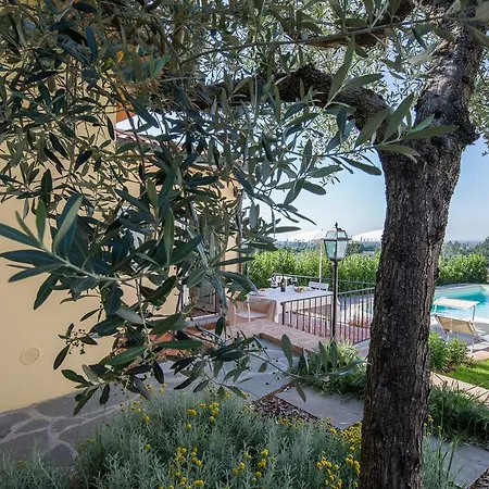 Holiday home La Limonaia Cortona
